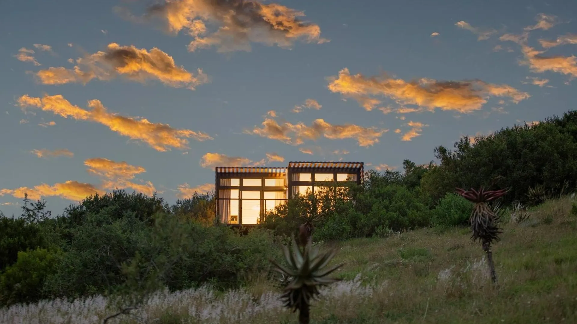 Nyosi Wildlife Reserve Port Elizabeth